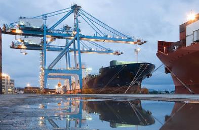 �����������ص���Ӧ������Щ��