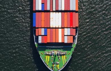 ������������ص��Լ��������ƺ�ѡ������Щ��