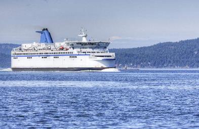 oog������һ���ܹ���Ż���ߴ����Ƶ�ȫ��ѡ��