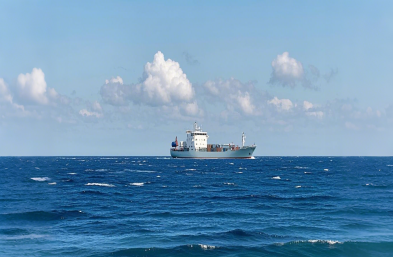 ��ؼ�װ�亣�ˣ�ȫ��ó�׵�������ʿ�����˽���٣�