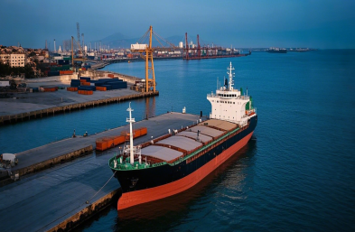 ���ó�׵��������������ֹ�������δٽ�ȫ�򾭼�һ�廯