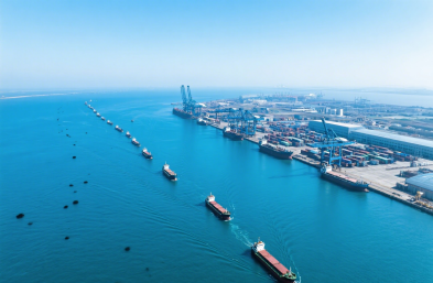 �����ʵ�ҽҩ����ع����������Ķ�ά����