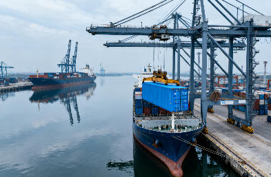 ����亣����ѡ���������� / ƽ�� / ����ȫ���ͣ����䲻ͬ�����������